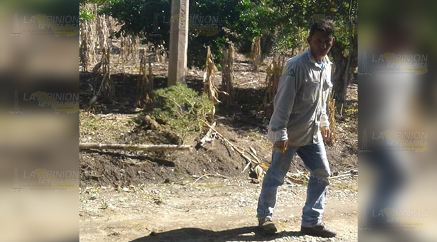 Falsos trabajadores de CFE en Zapotal