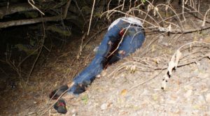 Un muerto en carreterazo
