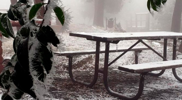 ¡Otra tormenta invernal! Prevén nevadas en estos estados de México ¡Otra tormenta invernal! Prevén nevadas en estos estados de México