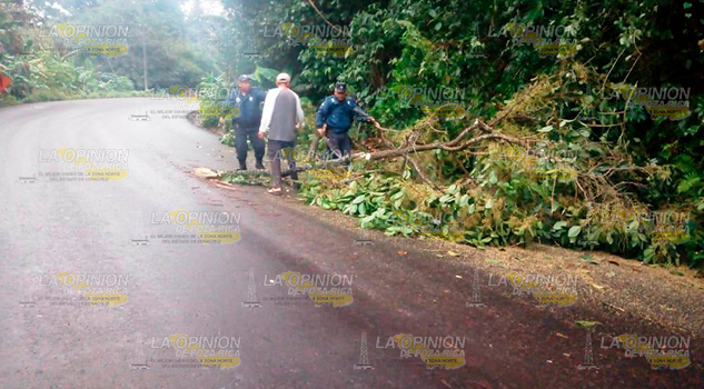 Se desgajo un cerro que provoco cierre de medio carril en Tlapacoyan