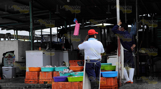 Alerta sanitaria, detectan venta de pescado insalubre en Poza Rica Alerta sanitaria, detectan venta de pescado insalubre en Poza Rica