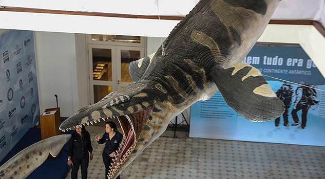Museo Nacional de brasil presenta su primera exposición tras incendio