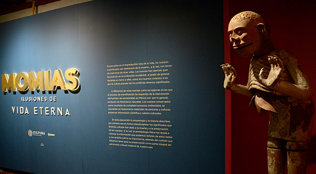Exposición de momias atrae en el Museo de El Carmen Exposición de momias atrae en el Museo de El Carmen