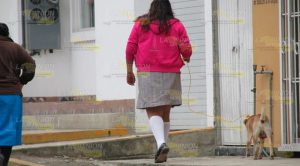 Inexistente en Tihuatlán la Ley de Protección Animal Inexistente en Tihuatlán la Ley de Protección Animal