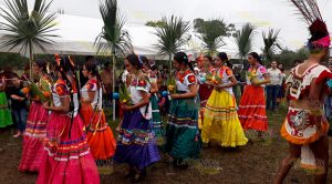 Inicia Festival Chicomexochitl en la comunidad de Aguacate Vinazco Inicia Festival Chicomexochitl en la comunidad de Aguacate Vinazco