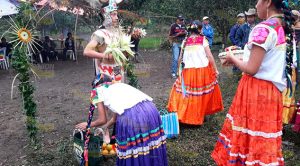 Inicia Festival Chicomexochitl en la comunidad de Aguacate Vinazco Inicia Festival Chicomexochitl en la comunidad de Aguacate Vinazco