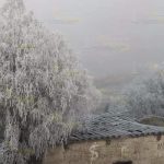 Reporta Protección Civil afectaciones por frente frío 29