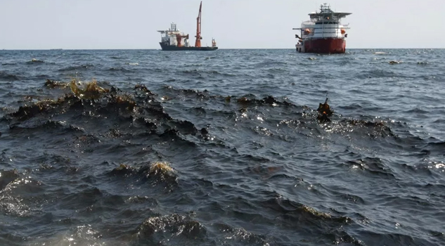 Con bacterias remedian ecosistema dañados por derrames de petróleo