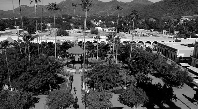 Sale a la luz “Álamos, Zona de Monumentos Históricos” Sale a la luz “Álamos, Zona de Monumentos Históricos”