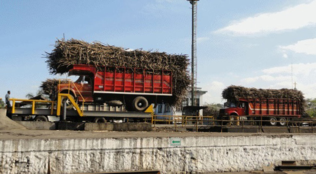 Convocan cañeros veracruzanos a cerrar bodegas de Ingenios
