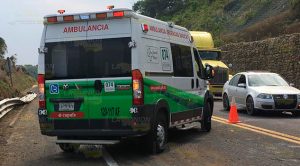 Vuelca tráiler cargado con cerdos sobre la Tuxpan - Totomoxtle Vuelca tráiler cargado con cerdos sobre la Tuxpan - Totomoxtle