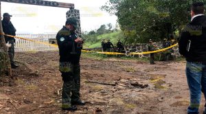 Recupera SSP 100 cabezas de ganado y cinco ponis robados Recupera SSP 100 cabezas de ganado y cinco ponis robados