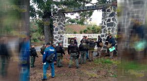 Recupera SSP 100 cabezas de ganado y cinco ponis robados Recupera SSP 100 cabezas de ganado y cinco ponis robados