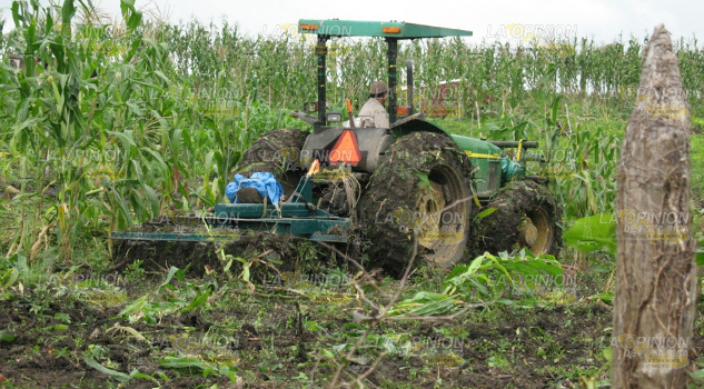 Invitan a la gente del campo a acercarse a las oficinas de Fomento Agropecuario