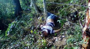Un muerto y 2 heridos en brutal volcadura