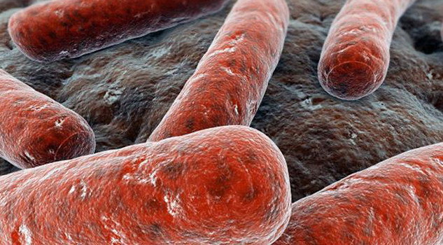 Exhorta IMSS a prevenir la Tuberculosis