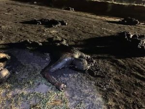 Línea del tiempo de la explosión ocurrida en Tlalhuelipan, Hidalgo