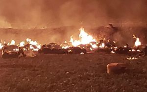 Línea del tiempo de la explosión ocurrida en Tlalhuelipan, Hidalgo