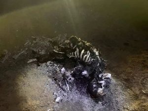 Línea del tiempo de la explosión ocurrida en Tlalhuelipan, Hidalgo
