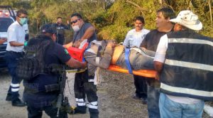 Vuelca tráiler cargado de vacas