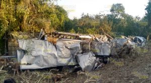 Vuelca tráiler cargado de vacas