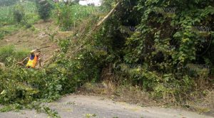 Se empieza sentir el norte en Papantla