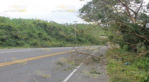 Se empieza sentir el norte en Papantla