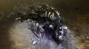 Crece la tragedia, ya son 71 las víctimas de la explosión de gasoducto