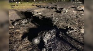 Crece la tragedia, ya son 71 las víctimas de la explosión de gasoducto