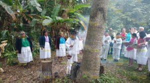 Totonakús realizan ritual: Ceremonia del maíz