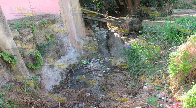 Tihuatlán sin políticas públicas definidas para el cuidado del medio ambiente