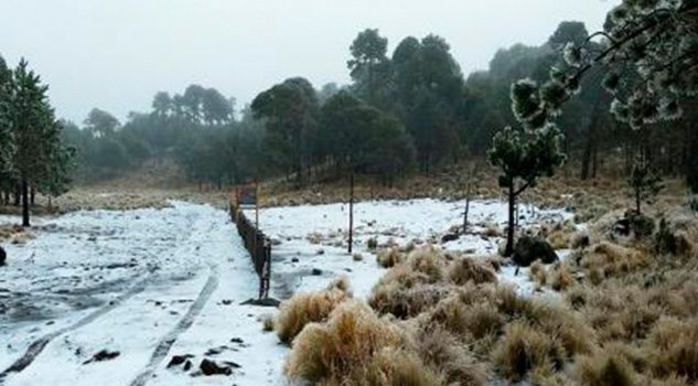 ¡Prepárese! Hoy ingresa nuevo frente frío, nevará en estos estados ¡Prepárese! Hoy ingresa nuevo frente frío, nevará en estos estados