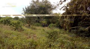 Encuentran fosa clandestina en Martínez de la Torre