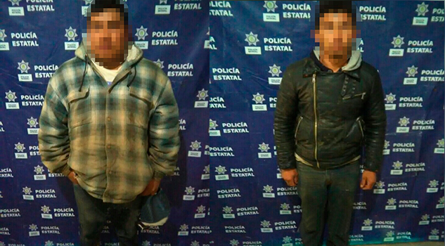 Recupera SSP camión con 33 piezas de madera