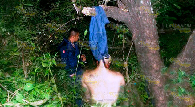 Campesino se colgó de un árbol en Misantla