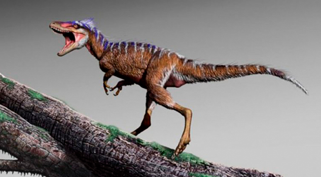 Descubren el fósil de un Tiranosaurio Rex miniatura Descubren el fósil de un Tiranosaurio Rex miniatura