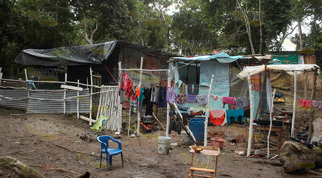 Disputan las áreas verdes del sector El Paraíso Disputan las áreas verdes del sector El Paraíso