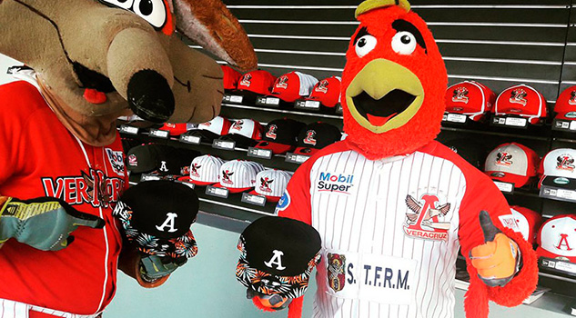 El vuelo del Águila tendrá que esperar; no incluyen a Veracruz en la LMB El vuelo del Águila tendrá que esperar; no incluyen a Veracruz en la LMB