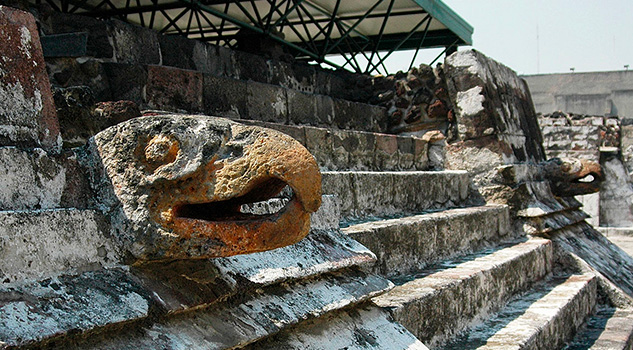 El águila real, una especie apreciada y cautiva entre los mexicas El águila real, una especie apreciada y cautiva entre los mexicas