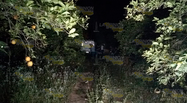 Encuentran cadáver en parcela de una comunidad en Martínez de la Torre Encuentran cadáver en parcela de una comunidad en Martínez de la Torre