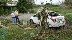 Ponchadura los saca del camino en la Álamo - Tihuatlán, una lesionada Ponchadura los saca del camino en la Álamo - Tihuatlán, una lesionada
