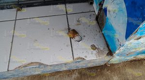 Roban depósito cervecero de la comunidad Chapopote, Veracruz Roban depósito cervecero de la comunidad Chapopote, Veracruz