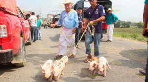 Tras 33 horas de bloqueo, habitantes abren paso a municipios del Totonacapan Tras 33 horas de bloqueo, habitantes abren paso a municipios del Totonacapan