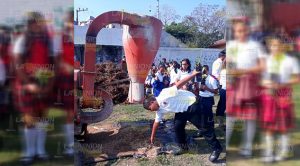 Trituran árboles navideños en Álamo Trituran árboles navideños en Álamo