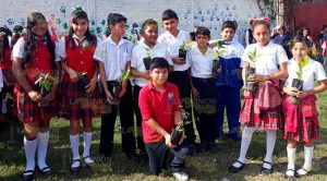 Trituran árboles navideños en Álamo Trituran árboles navideños en Álamo