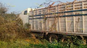 Tráiler se sale de la carretera por falla mecánica Tráiler se sale de la carretera por falla mecánica