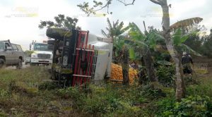 Vuelca camión naranjero en la comunidad Frijolillo de Tuxpan Vuelca camión naranjero en la comunidad Frijolillo de Tuxpan