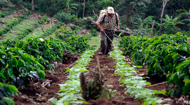 Agroalimentación factor clave en la 4T