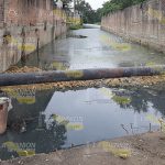 Empresa causa contaminación en Álamo