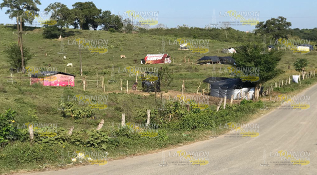 Desalojarán a invasores de la CNPA en Tecomate